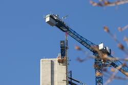 an image of a crane